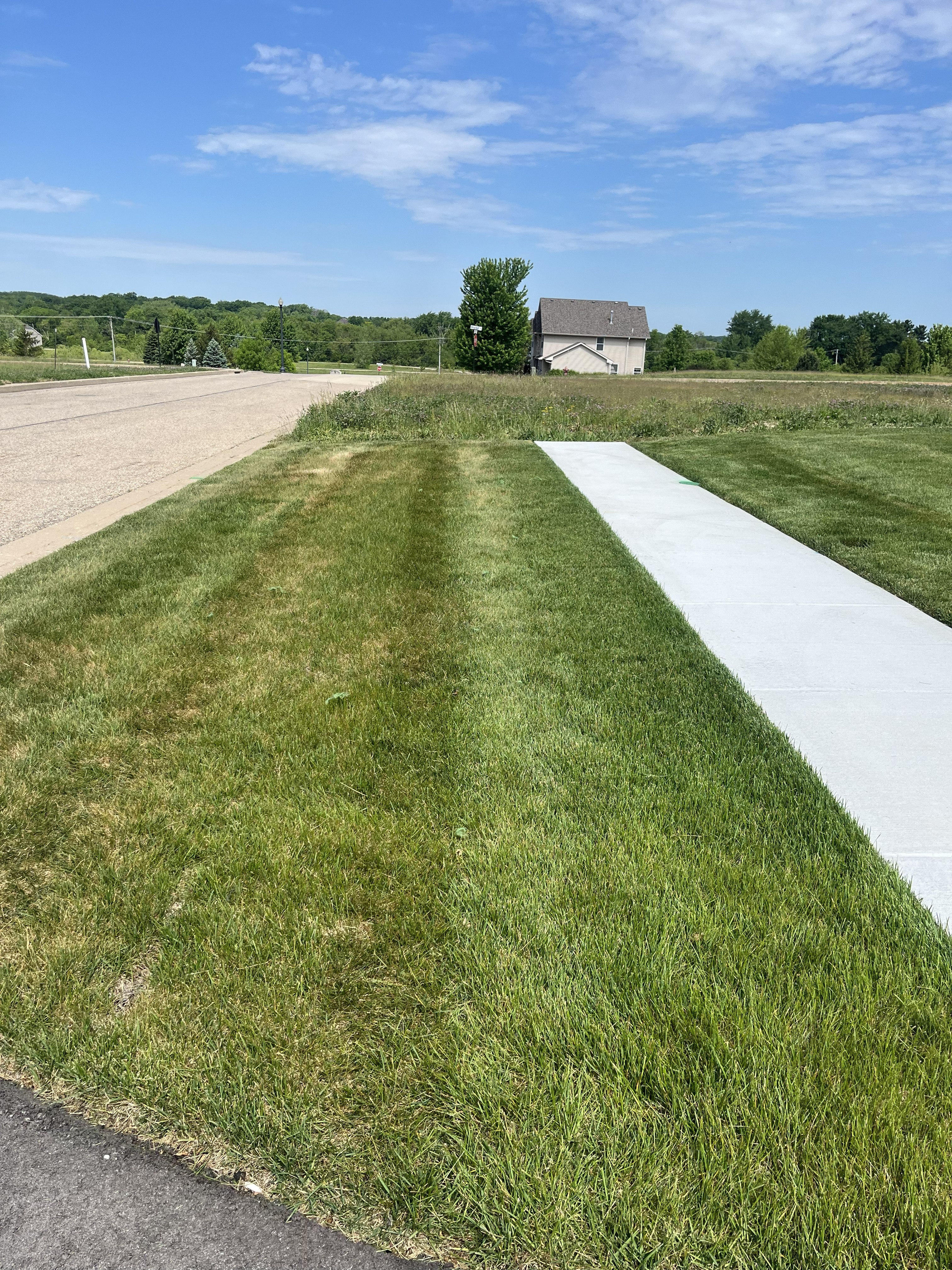 Freshly cut lawn by TL Lawncare in Rockford Illinois