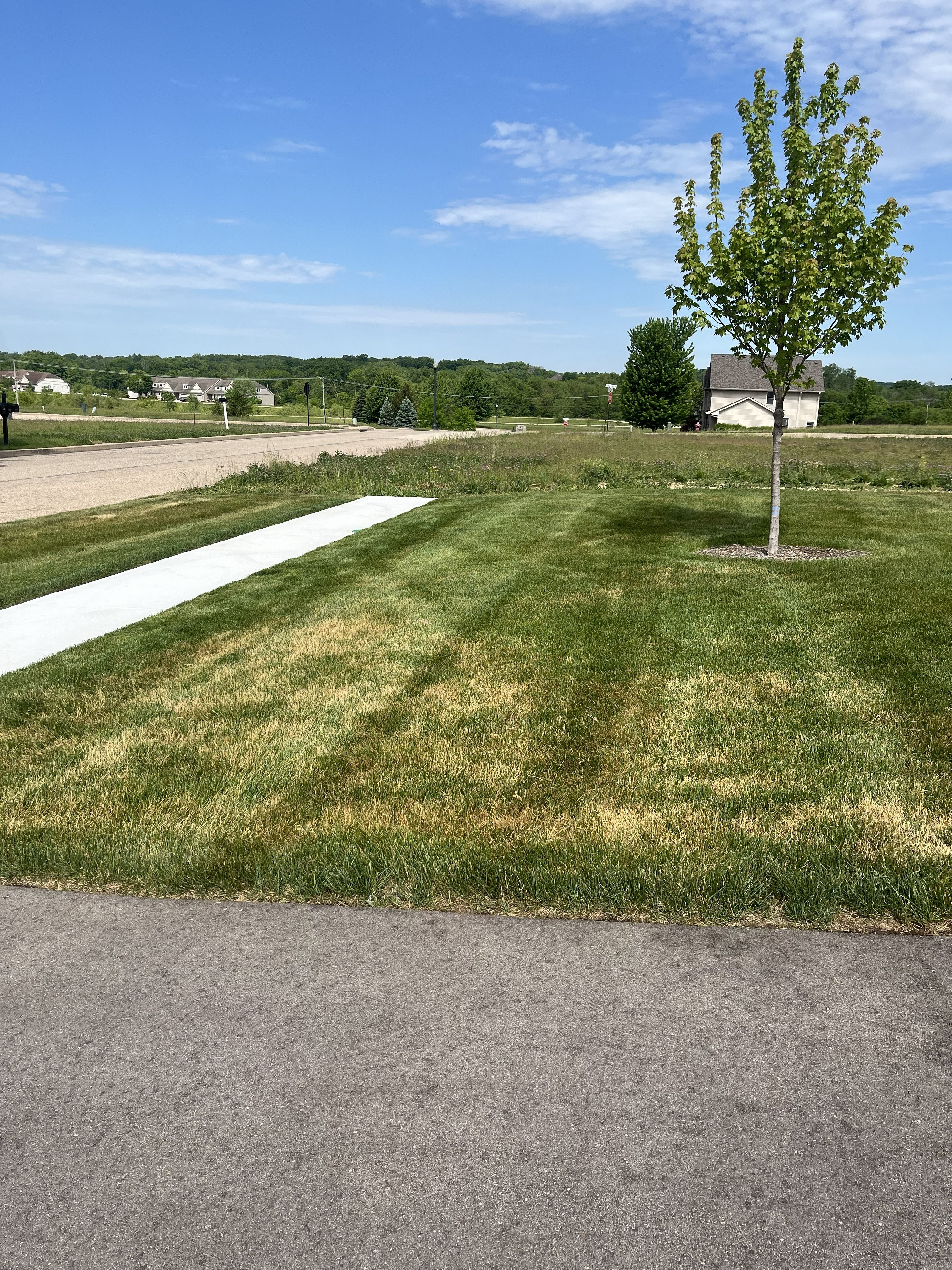 Freshly cut lawn by TL Lawncare in Rockford Illinois