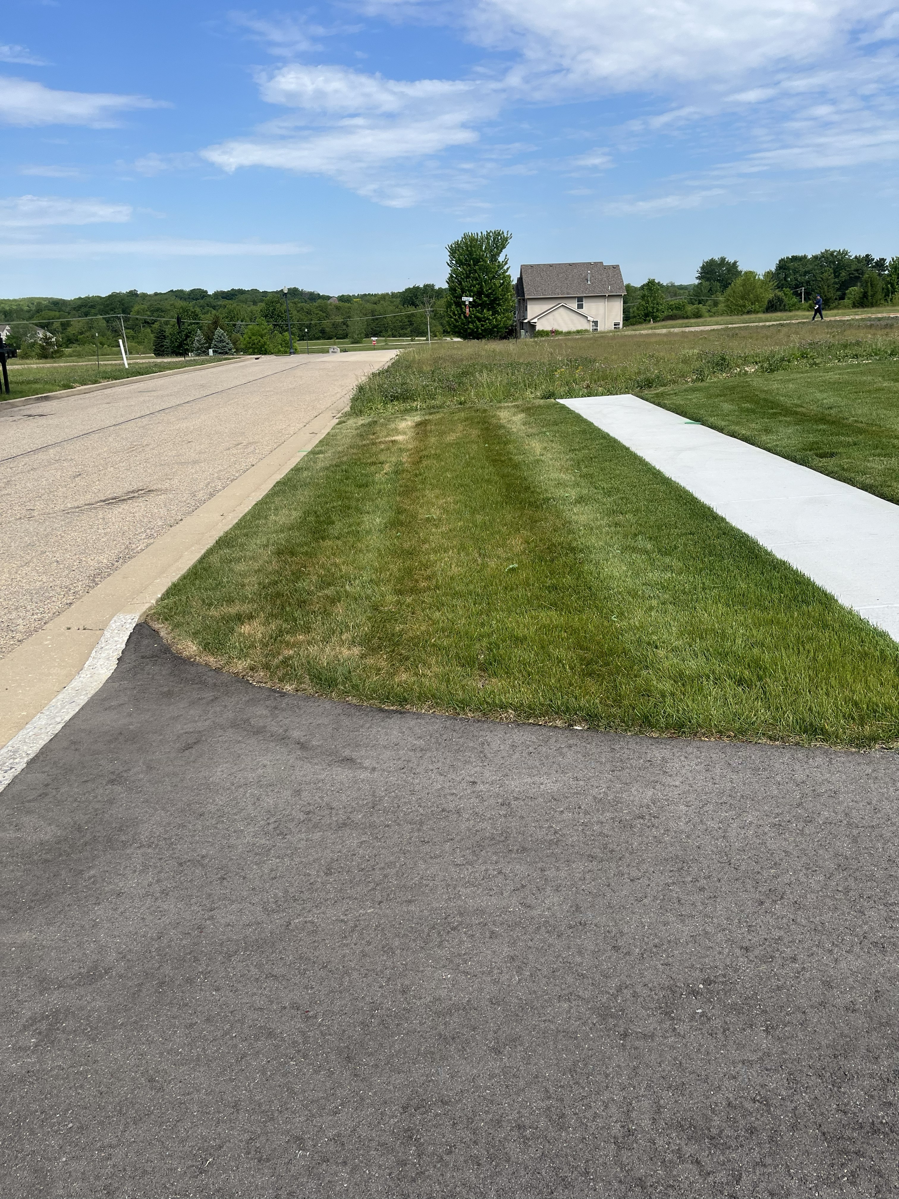 Freshly cut lawn by TL Lawncare in Rockford Illinois