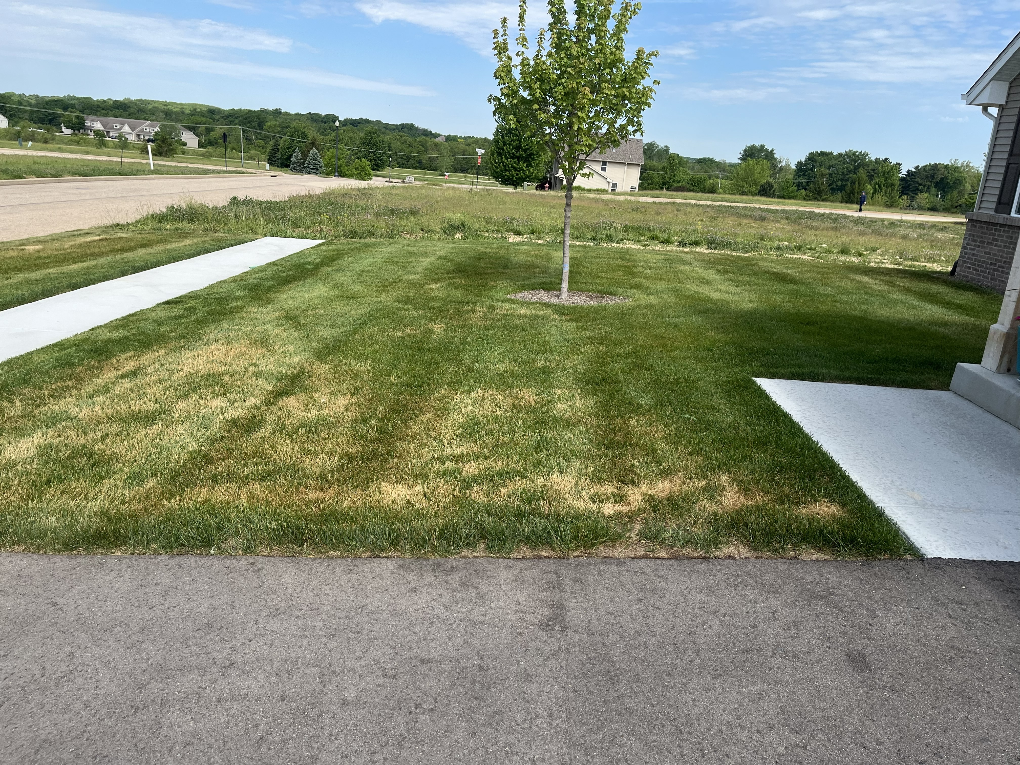 Freshly cut lawn by TL Lawncare in Rockford Illinois