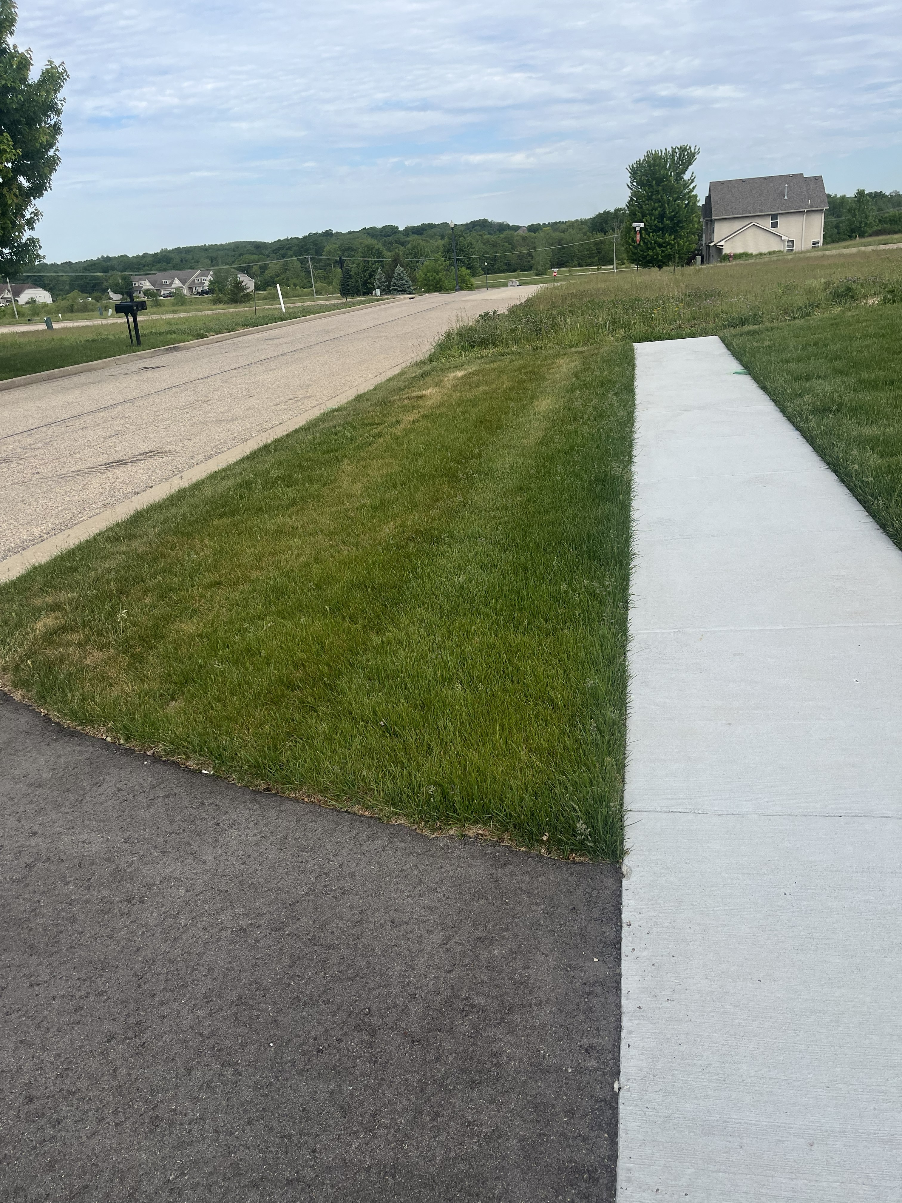 Freshly cut lawn by TL Lawncare in Rockford Illinois